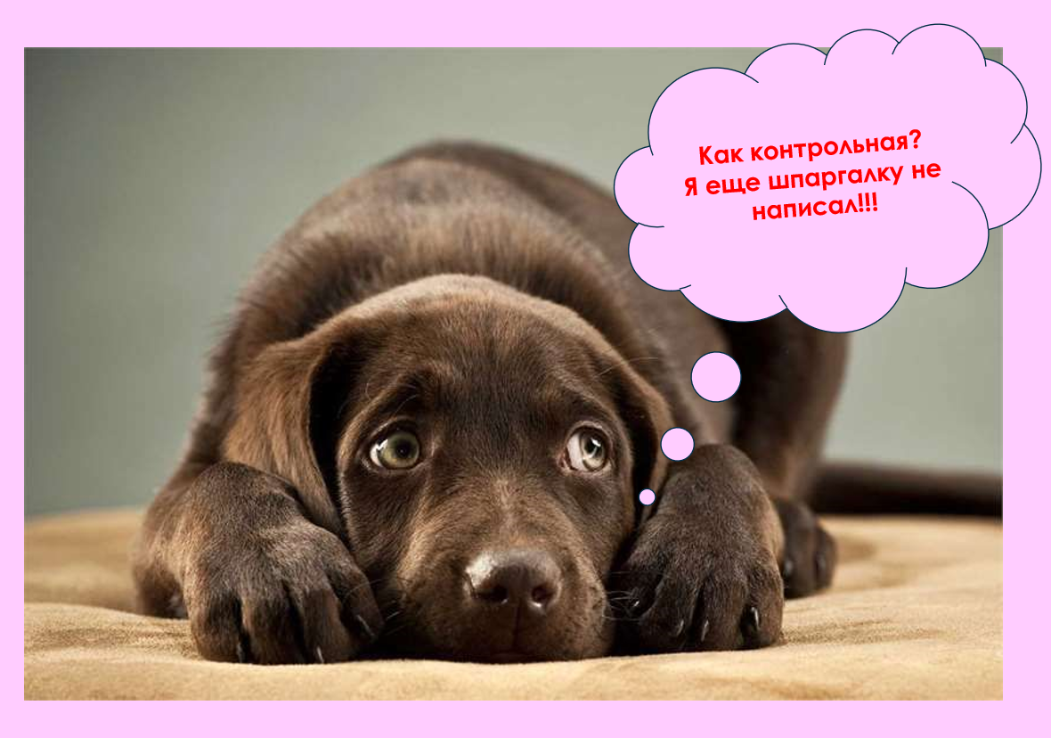 Ода шпаргалкам