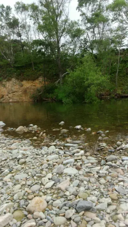 🔥На территории Черниговского района отменён особый противопожарный режим 📃Постановление об отмене особого противопожарного режима принято главой 
