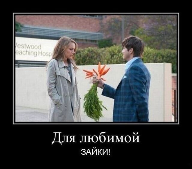 Весёлые картинки (часть 38)