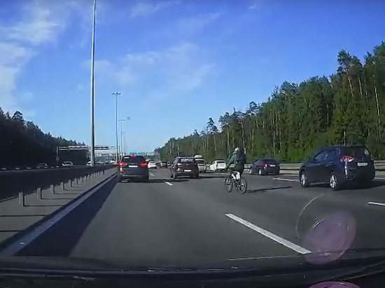 Велосипед и ОСАГО: не пора ли выстраивать отношения на дороге?