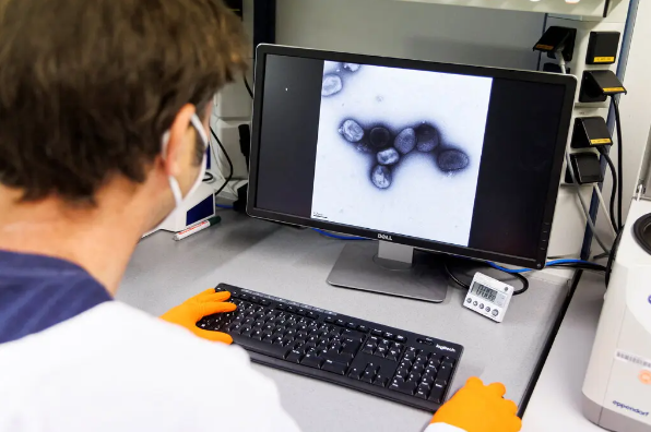 Кто защищен от оспы?