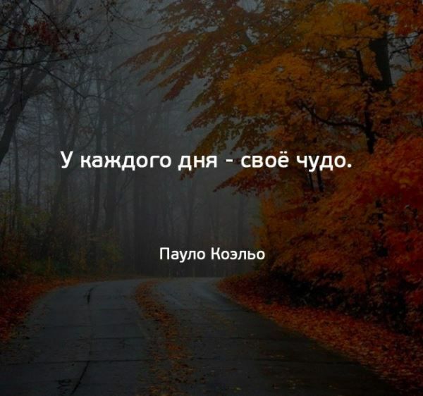 Цитаты и Афоризмы.