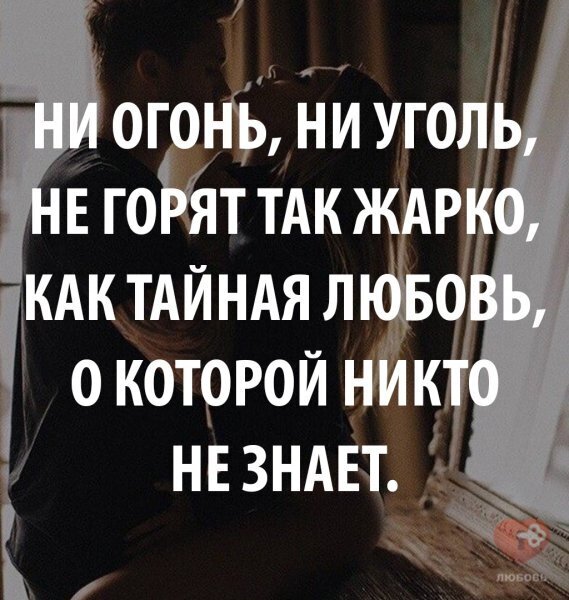 Цитаты и Афоризмы.