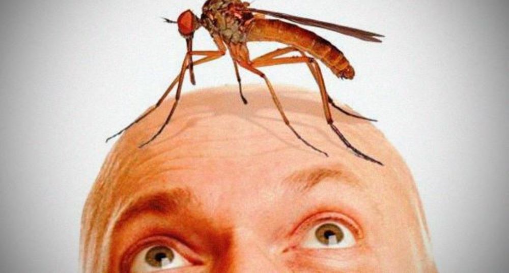 Как эффективно защитить кожу от укусов насекомых