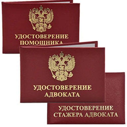 Помощник и стажер адвоката: кто это?