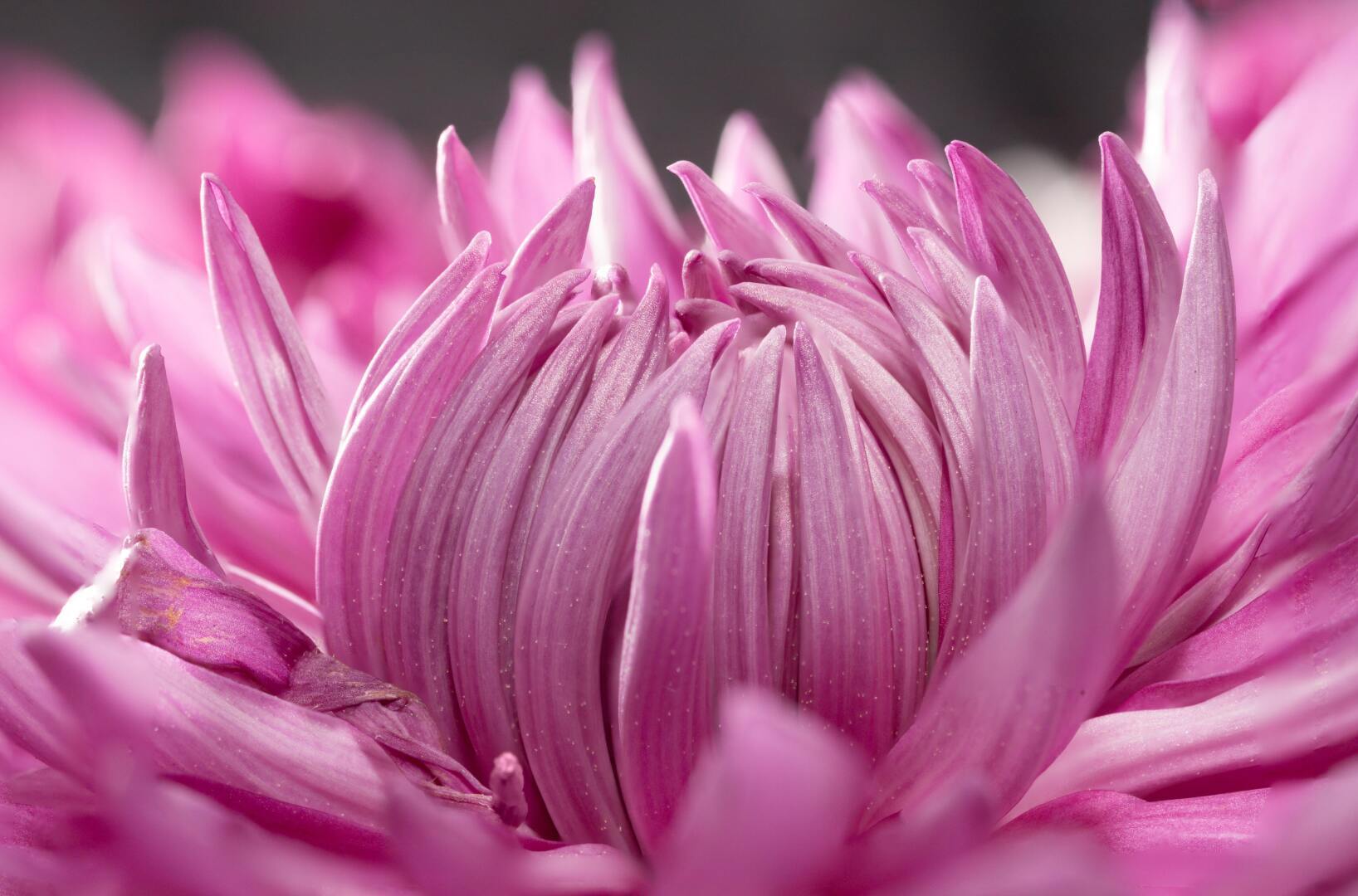 Гуляю у озера с дочками