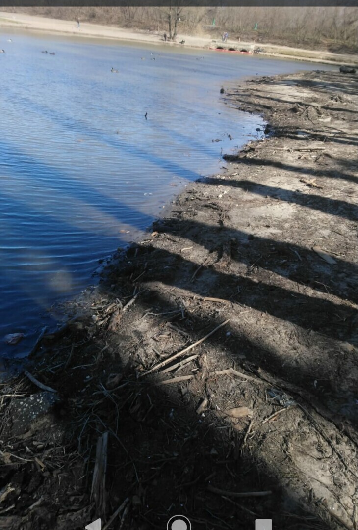 Продолжение волонтёрства. Замкнутый круг.