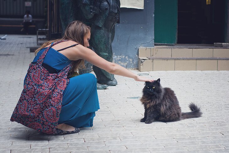 Нехорошая коммунальная квартира. Не по-булгаковски...