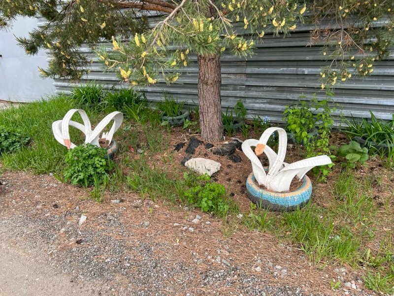 А у вас есть покрышки во дворах?