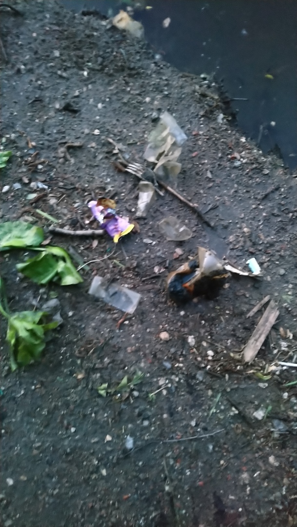 Продолжение волонтёрства. Замкнутый круг.