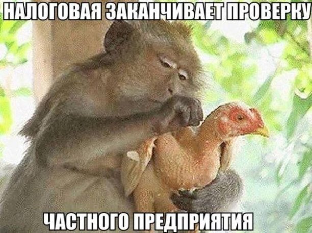 Налоговая проверка частного предприятия