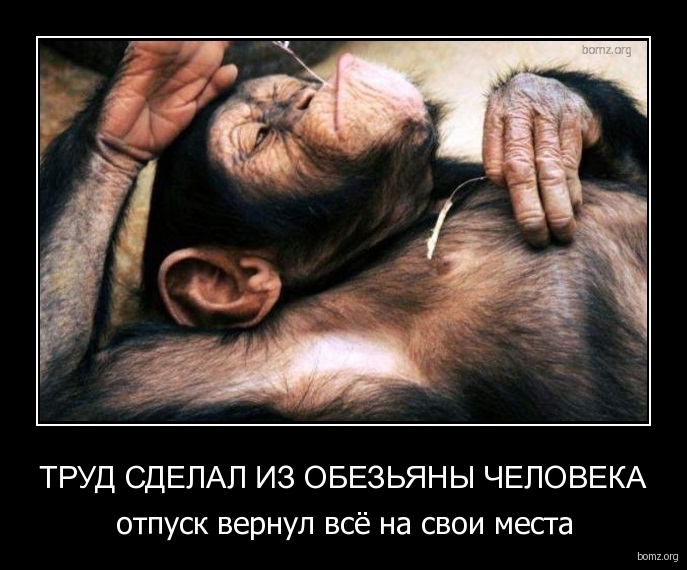 Весёлые картинки про отпуск (часть 39)