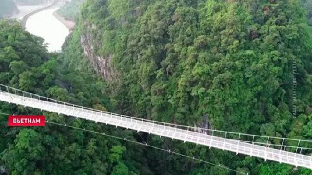 Мнение дилетанта. Сходит ли мир с ума?