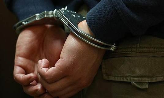 Курьёзная ситуация. В московском аэропорту задержали азербайджанца Замира за плакат «я Замир»