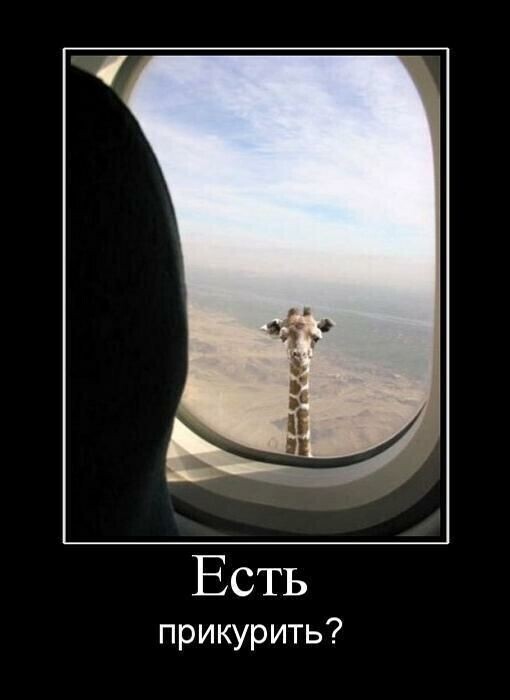 Весёлые картинки про отпуск (часть 39)