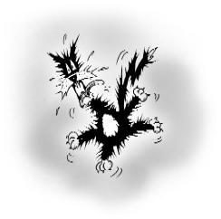 О диетах, панических атаках и промышленной еде, от которой становится плохо