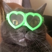 Borey, г. Санкт-Петербург