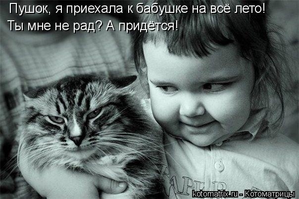 Эти летние коты....