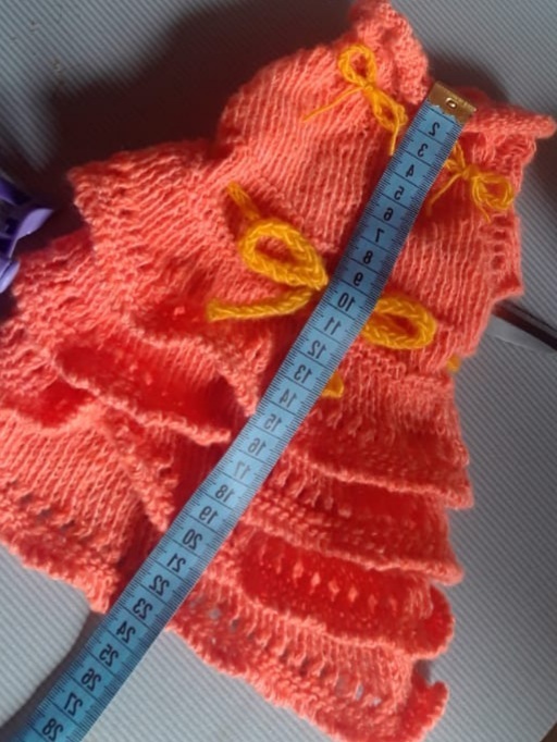 Летняя одежда для животных: трата денег или необходимость?