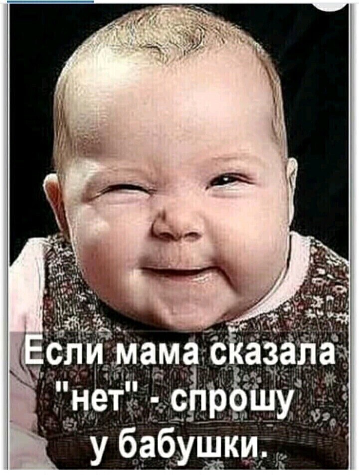 Ну разве можно такому чуду отказать