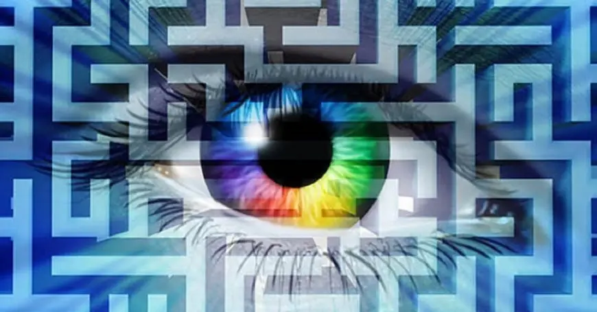 Как далеко может завести наше шестое чувство?