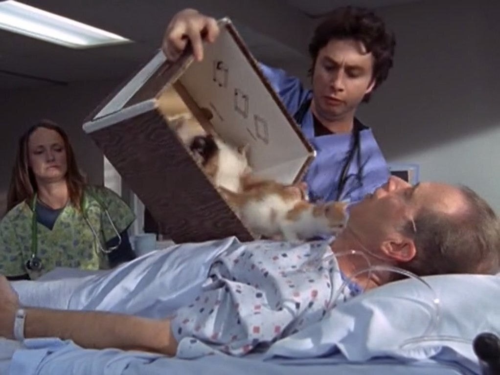 Тест: ваш характер по жанру ваших любимых фильмов