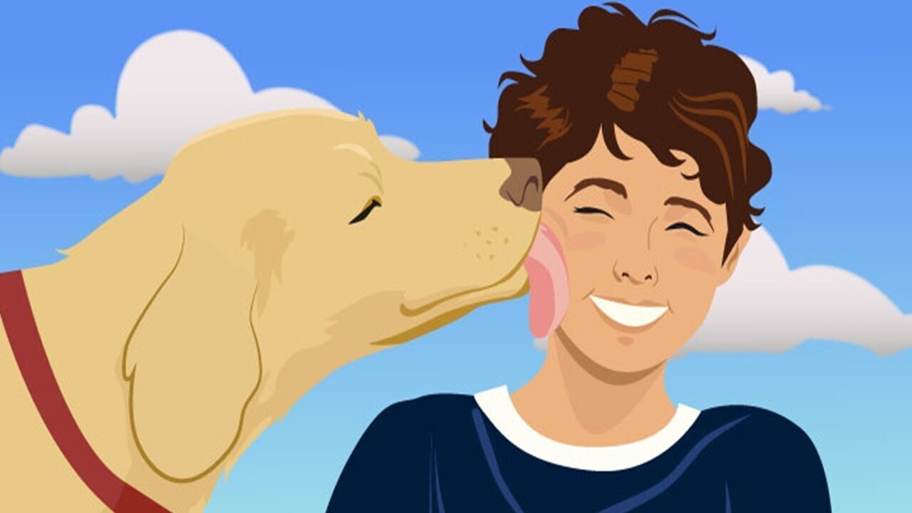 Чего хочет ваша собака