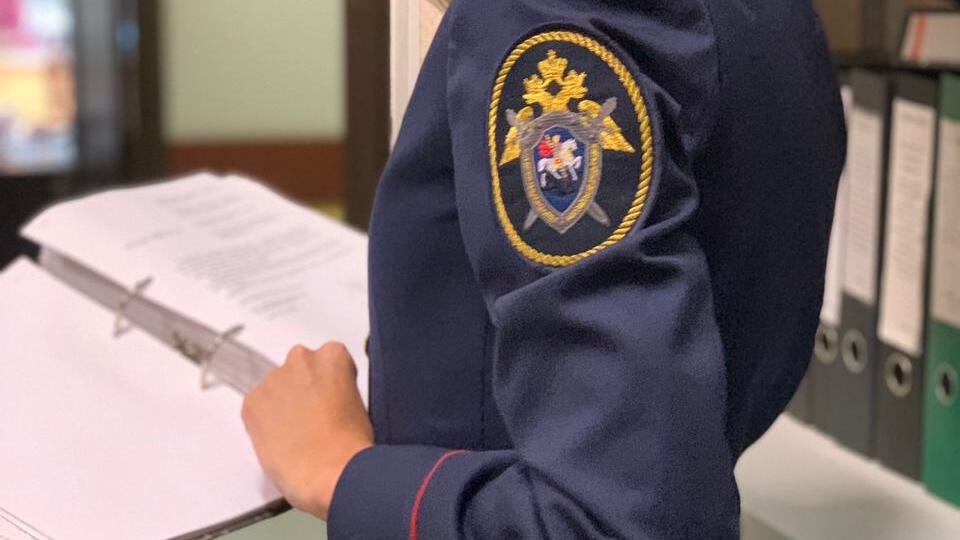 В отношении мужчины, который выстрелил в живот ребенку в Чехове, возбудили уголовное дело. Об этом сообщили в региональном СУ СК России.