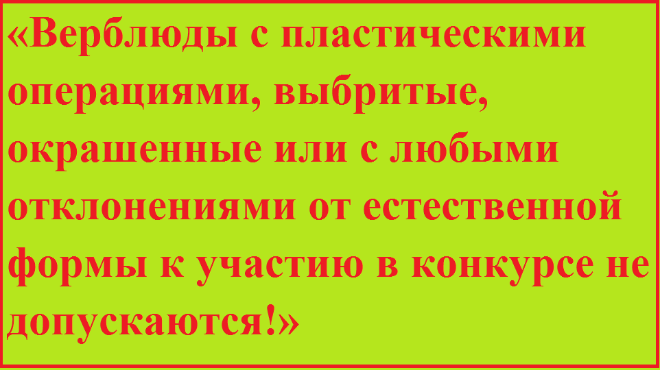Крымская весенняя красавица. Спорный вопрос.