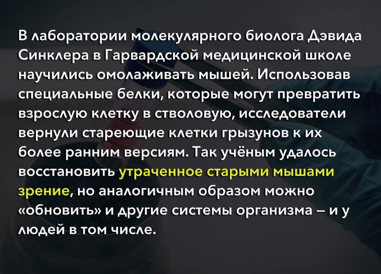 Учёные «перезагрузили» возраст мышей, восстановив утраченное зрение и омолодив их мозг — то же самое теперь хотят сделать и с человеком.
