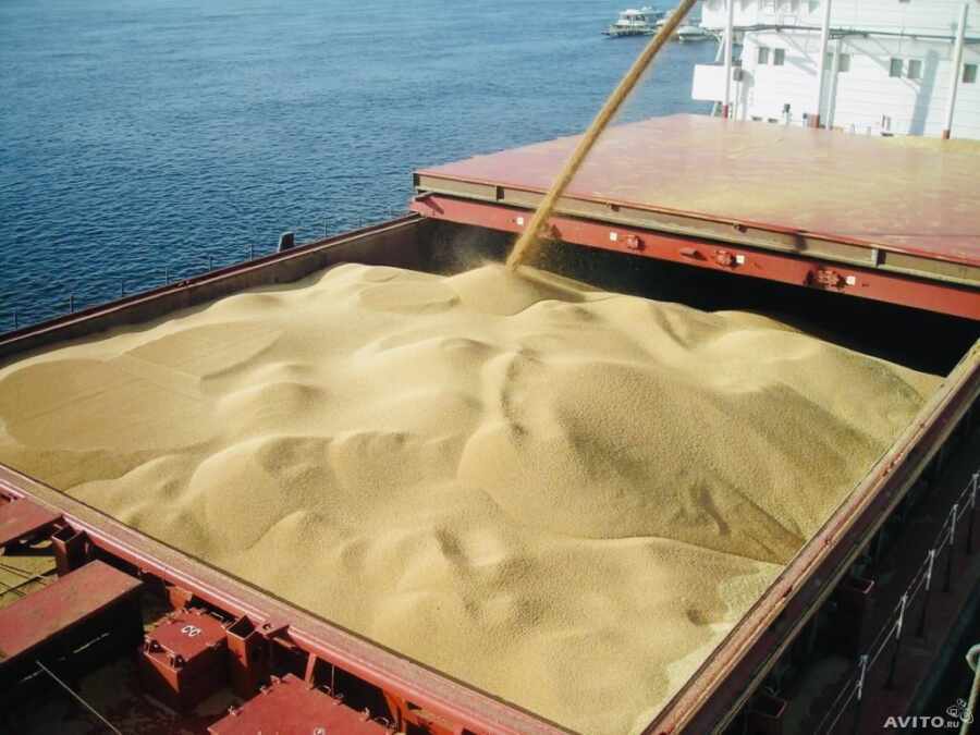 «Хитрый план»: эксперт Шишков объяснил панику Запада вокруг украинского зерна.