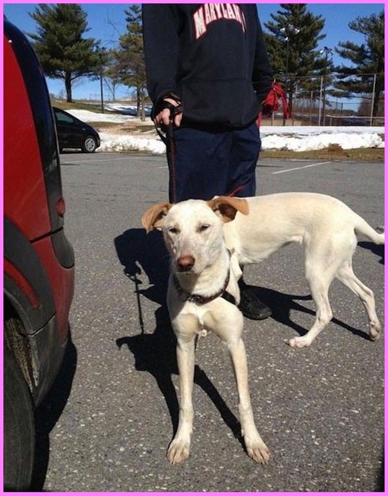 Пикантные фото: показалось