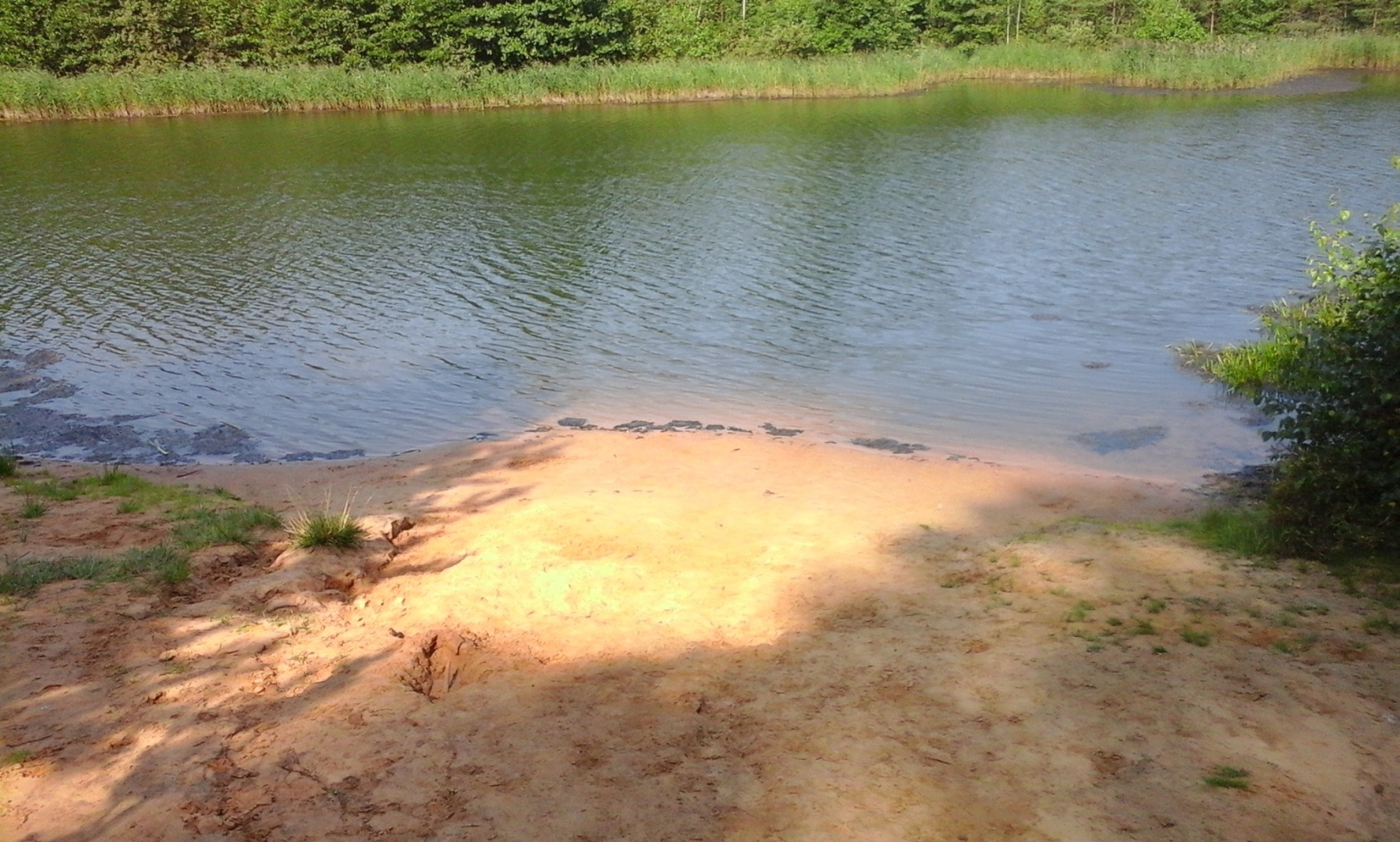 В Подмосковье грядёт июльская жара