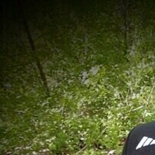 Вероника, г. Уфа