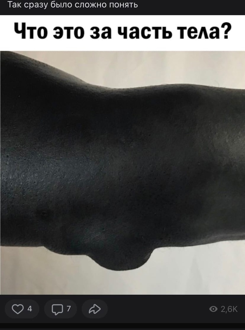 Что это за часть тела? Спорим, не угадаете)