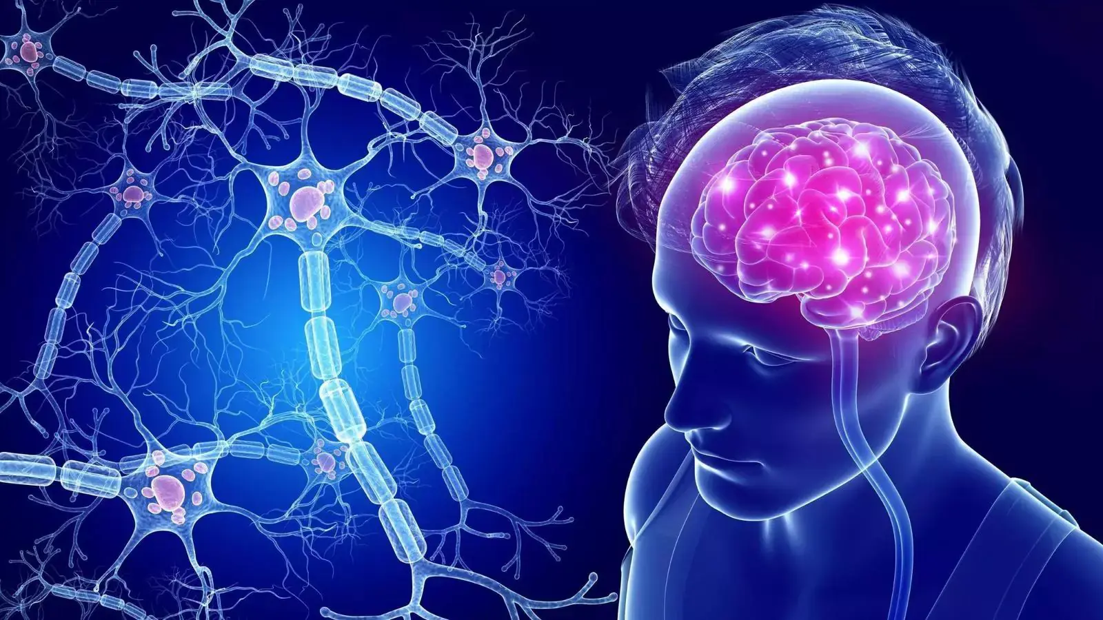 Как наш мозг создает воспоминания?