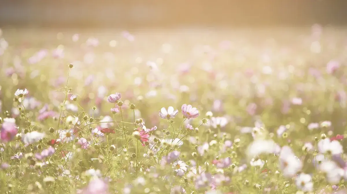 Что можно в эти выходные, 11 и 12 июня, убираться в квартире, заниматься тяжелой работой, делать ремонт, работать, посещать кладбище