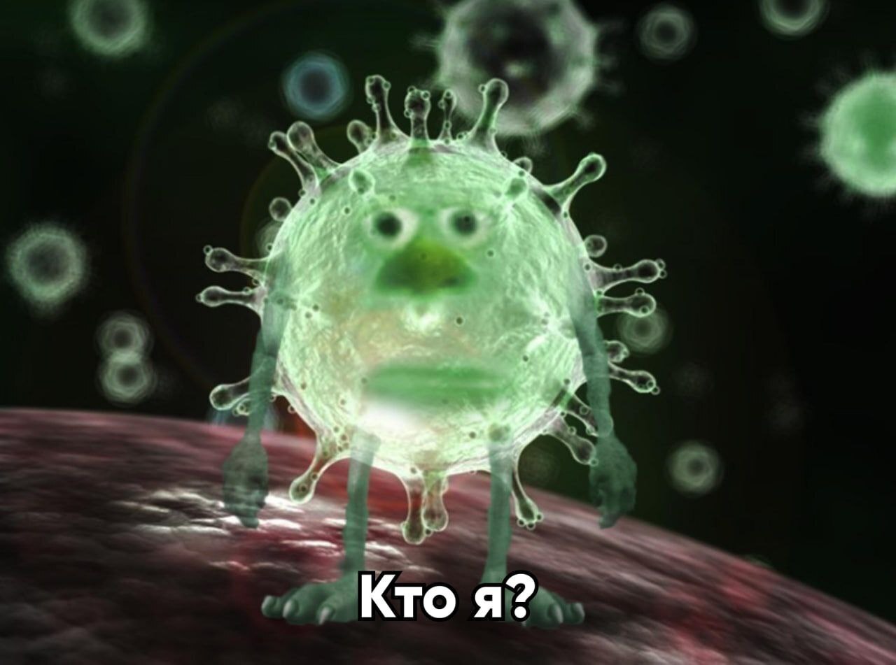 🦠 ВОЗ решила напомнить о коронавирусе. Организация призвала продолжить расследование о происхождении заразы.