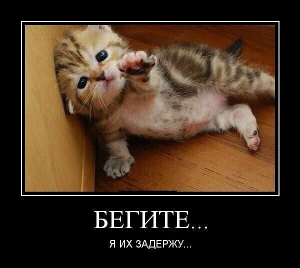 Весёлые картинки (часть 40)