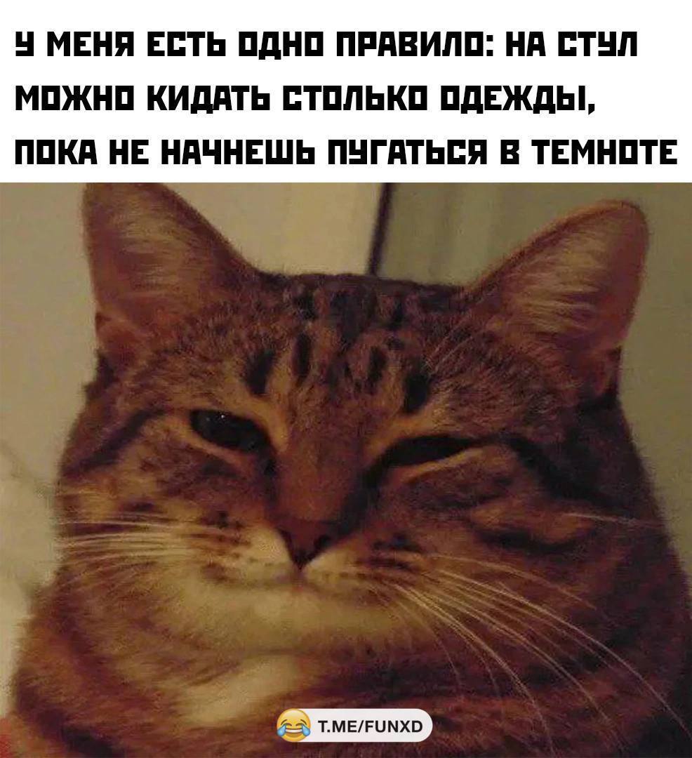 Просто мемы