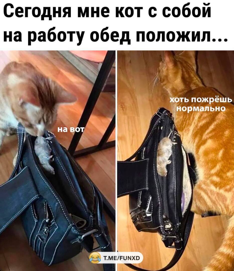 Просто мемы
