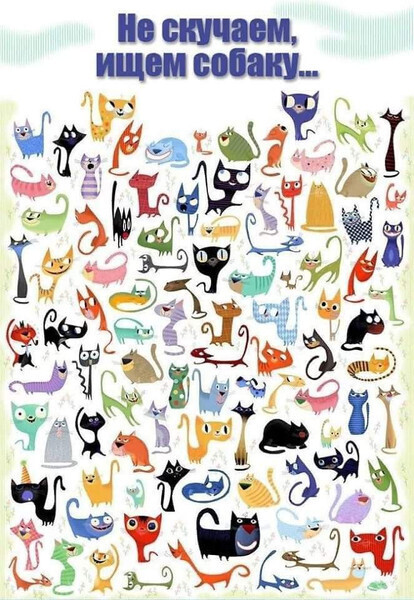 Не скучаем, ищем собаку