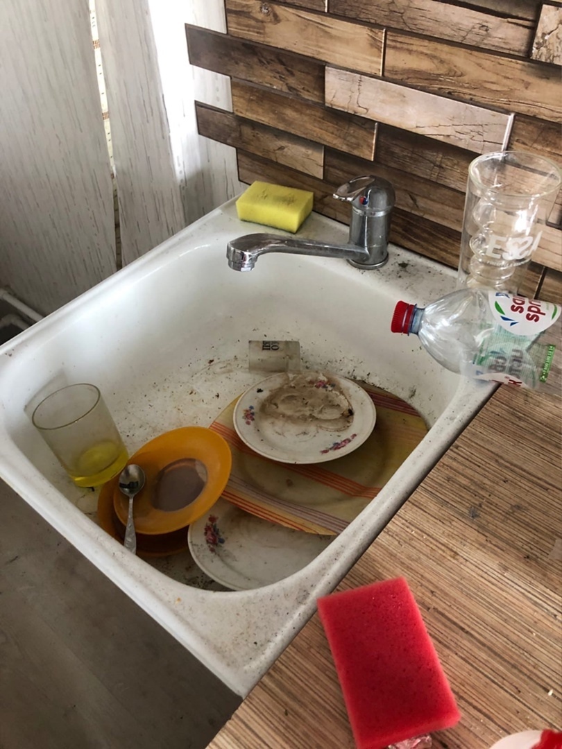 Сдали квартиру свиньям. На результат смотрите сами!