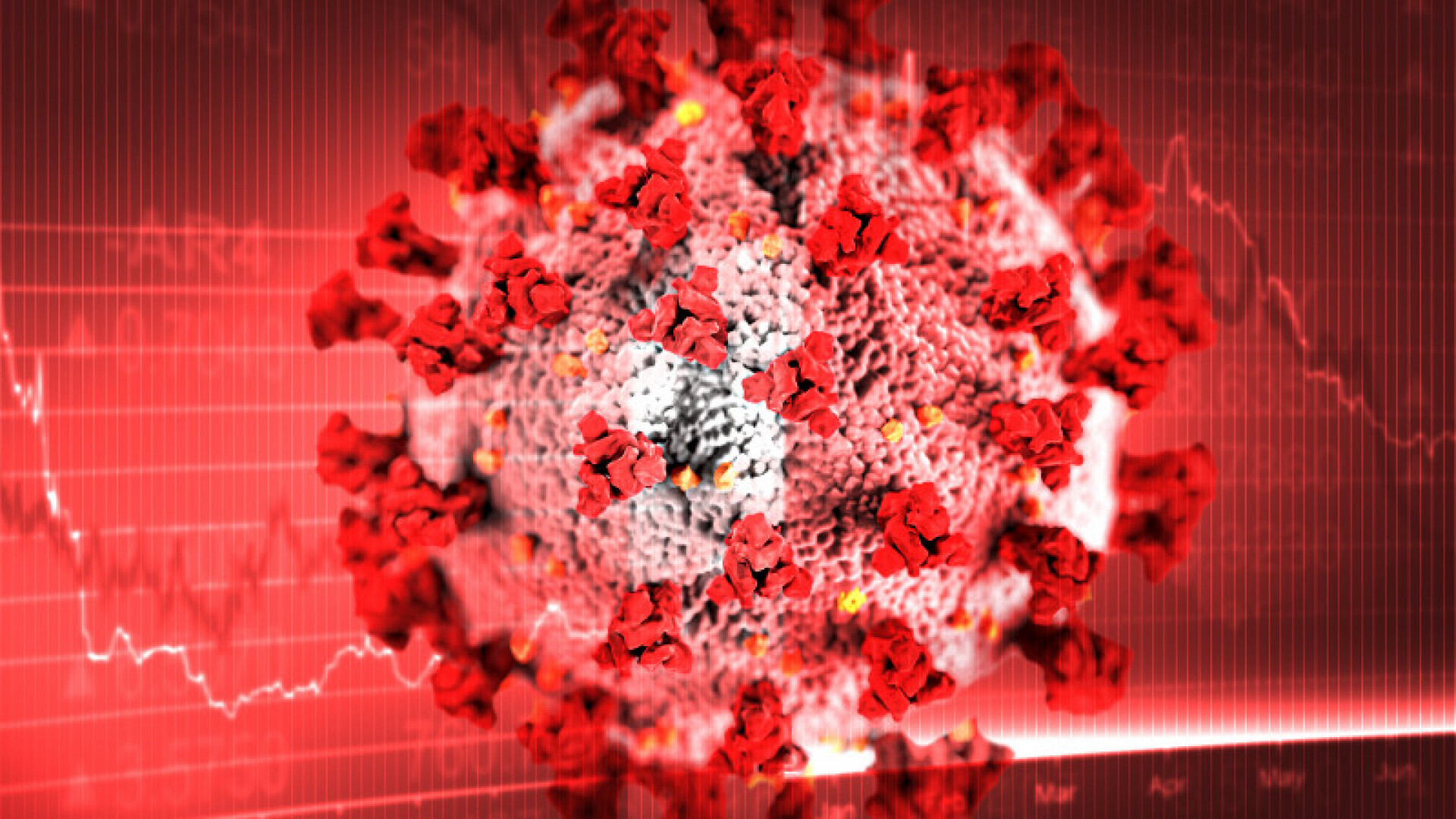 В России медиками выявлен наиболее заразный вариант «омикрон» штамма коронавируса: будет ли новая вспышка коронавируса?