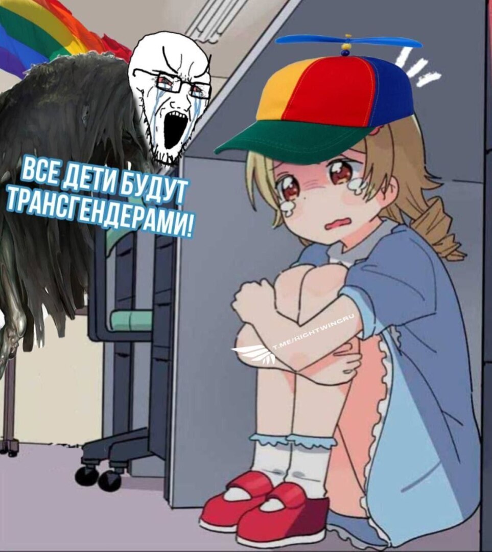 ❗️Транс из США с 1,5 миллиона подсчиков на YouTube объявил, что "пора переходить в наступление.