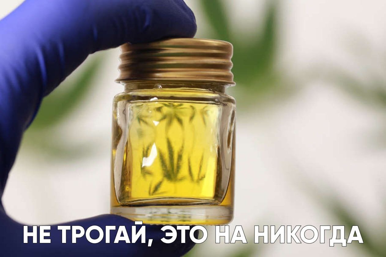 Правительство Таиланда бесплатно раздало людям миллион кустов каннабиса, но запретило накуриваться.