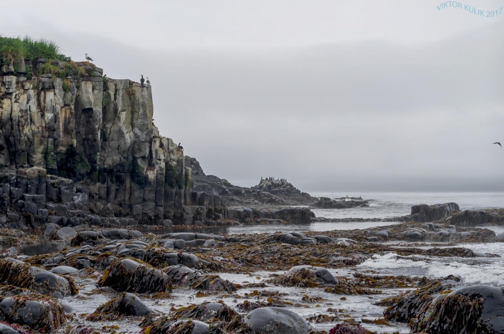 Камчатка - удивительный край нашей бескрайней страны. А не махнуть ли нам этим летом туда?