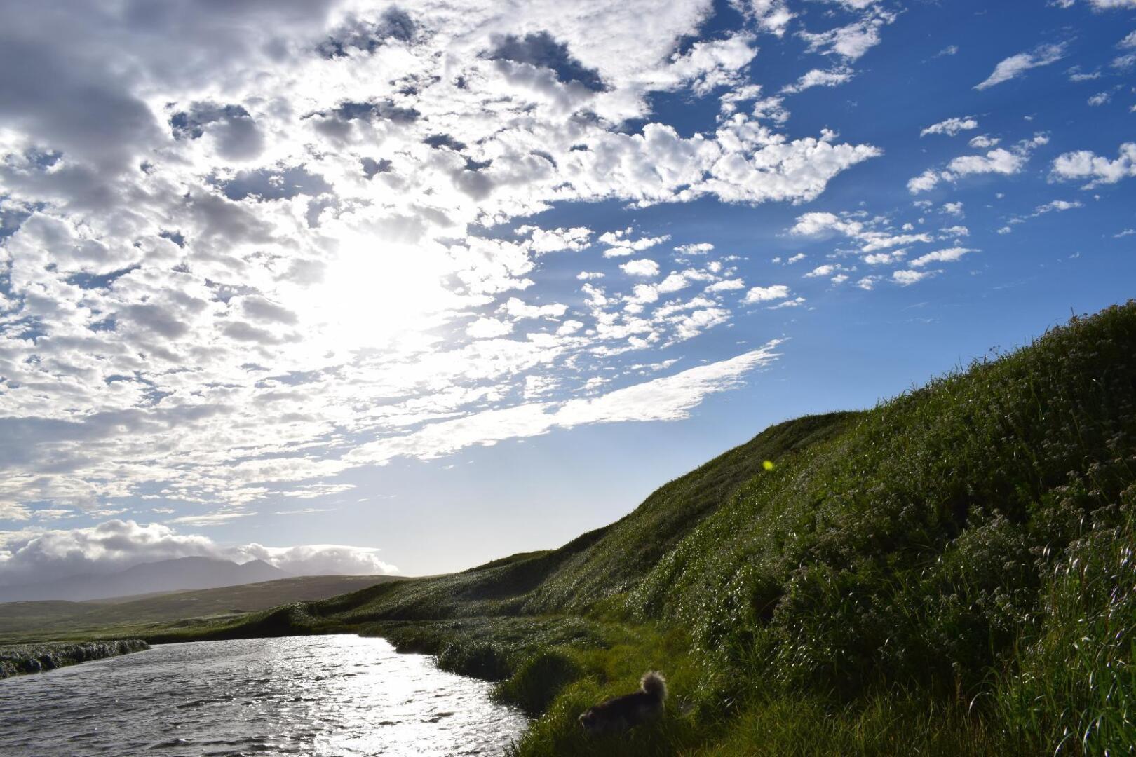 Камчатка - удивительный край нашей бескрайней страны. А не махнуть ли нам этим летом туда?