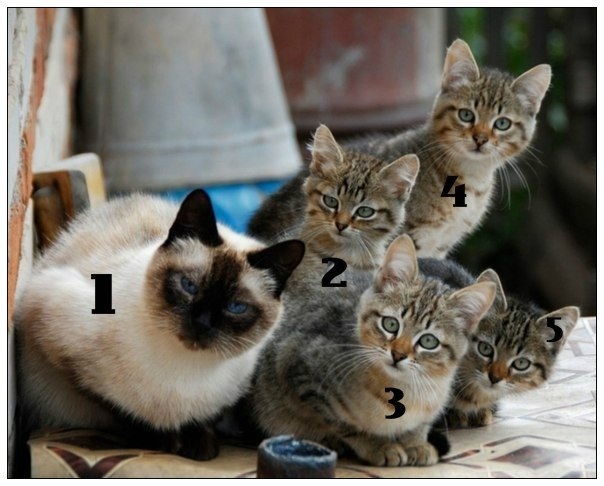 Ваше выражение лица, когда увидели бывшего / бывшую?