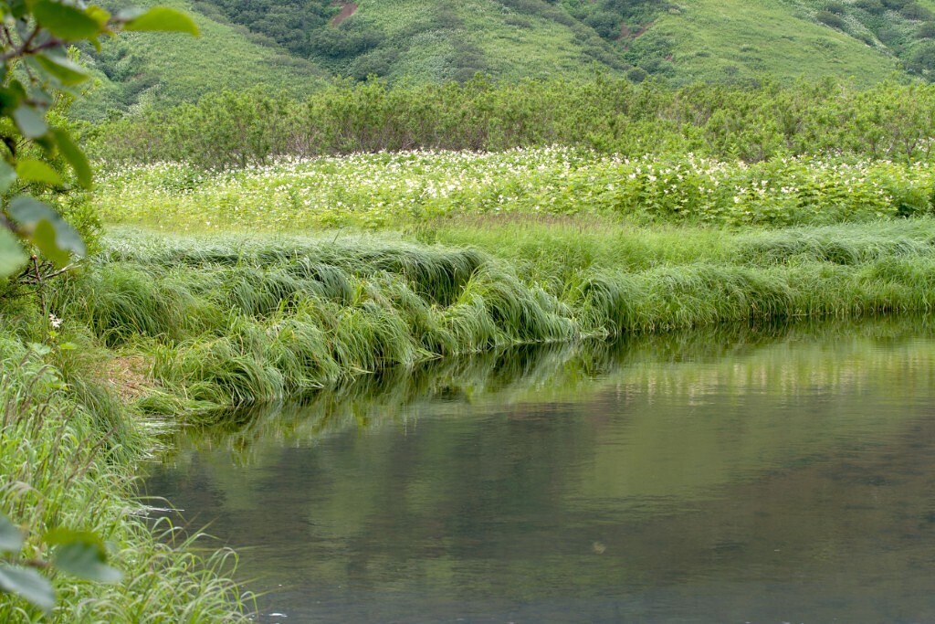 Камчатка - удивительный край нашей бескрайней страны. А не махнуть ли нам этим летом туда?